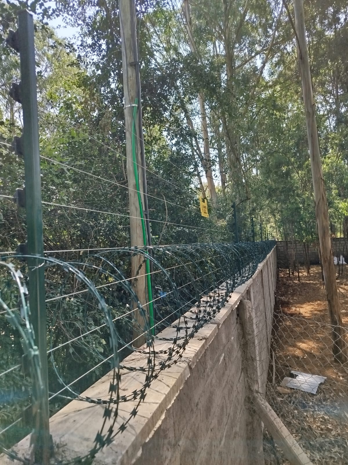 Dense razor wire coils and electric fence wire strands on a rendered boundary wall beneath eucalyptus trees in Karen