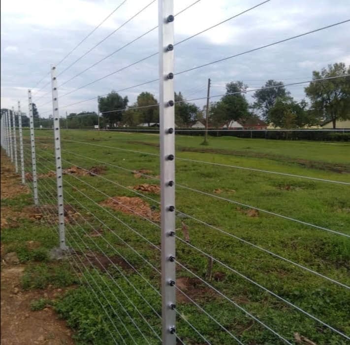 Multi-strand electric fence with galvanised steel posts running across open farmland in Laikipia County
