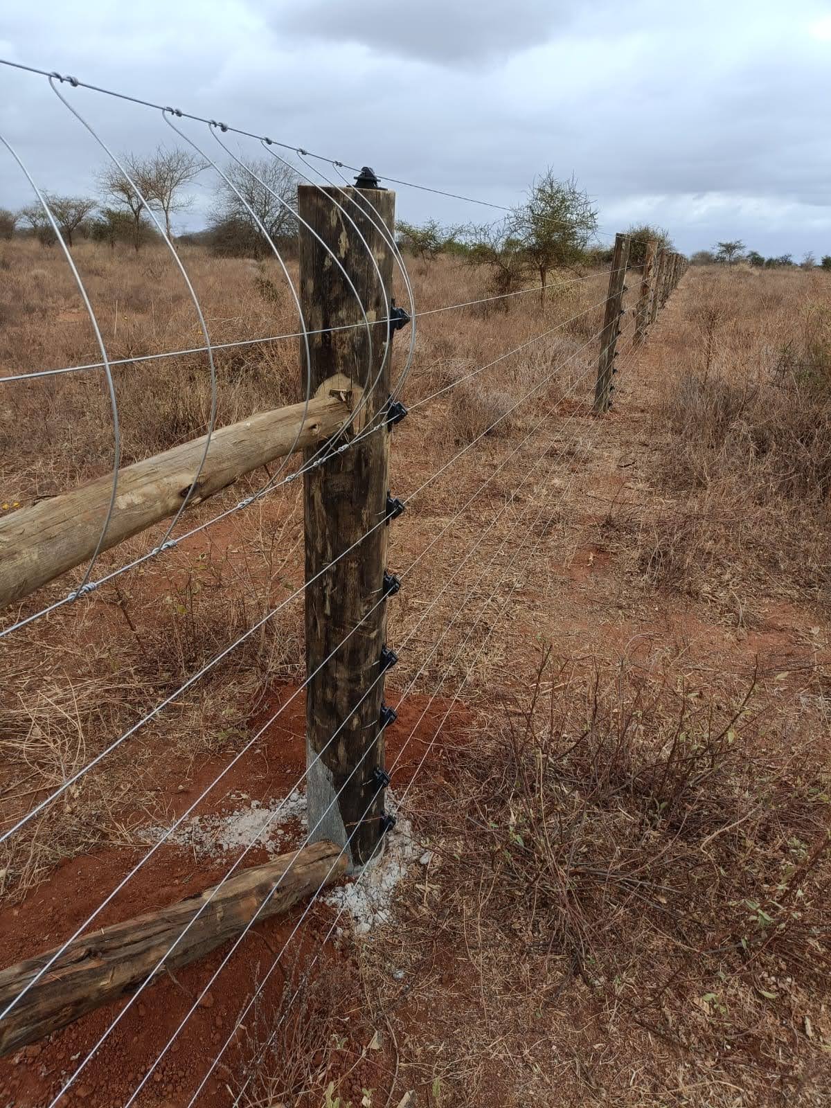 Timber electric fence strain post with diagonal brace and multiple wire strands in Makindu rangeland