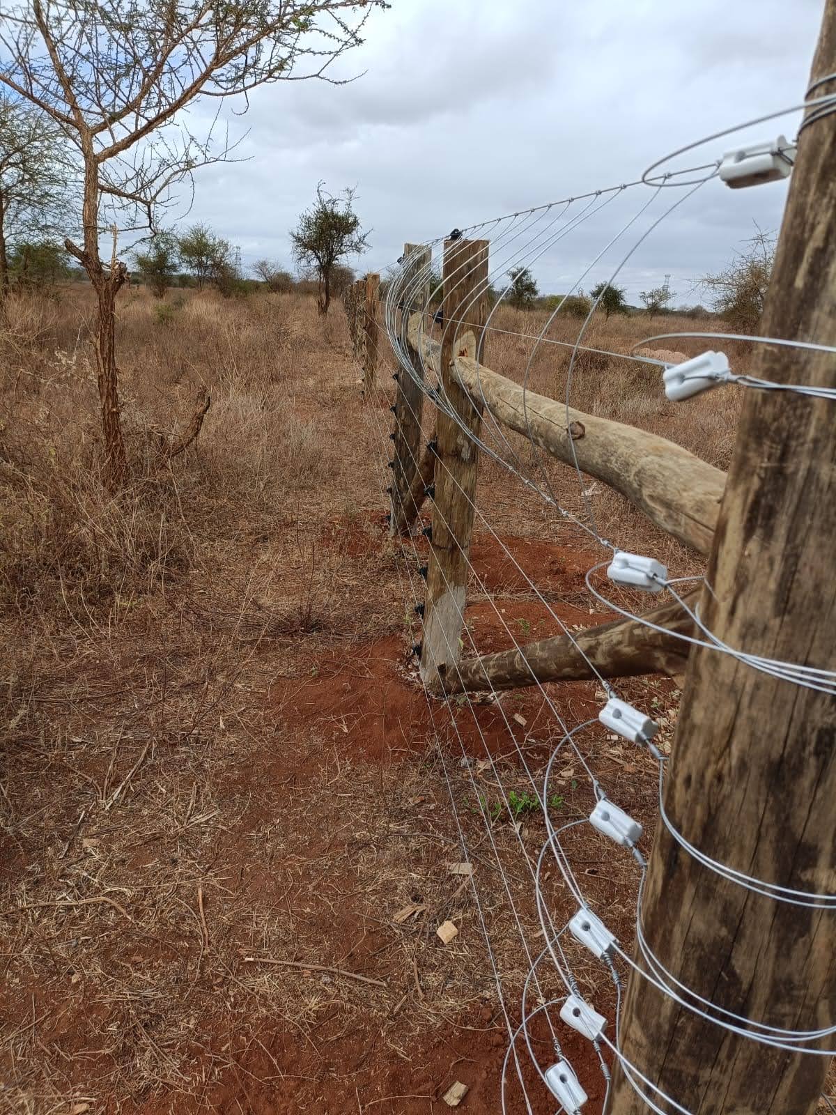 Electric fence line with timber strain posts and brace posts running across dry scrubland near Makindu