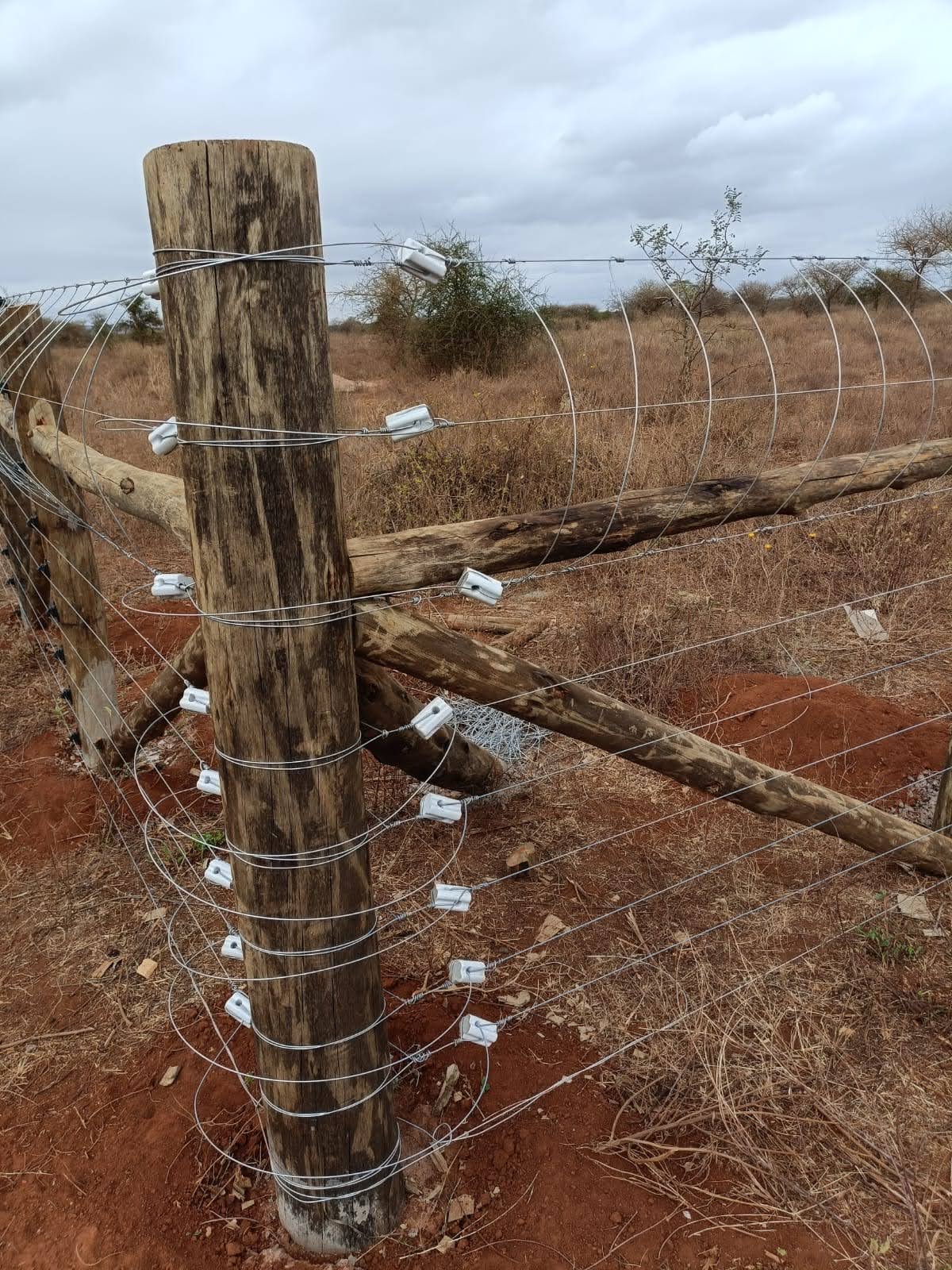 Close-up of insulated wire fittings on a timber electric fence strain post near Makindu, concrete-set base visible