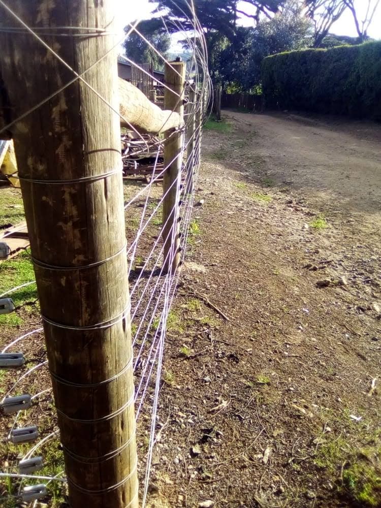 Close-up of a timber electric fence post with multiple tensioned wire strands and insulators, rural Nakuru