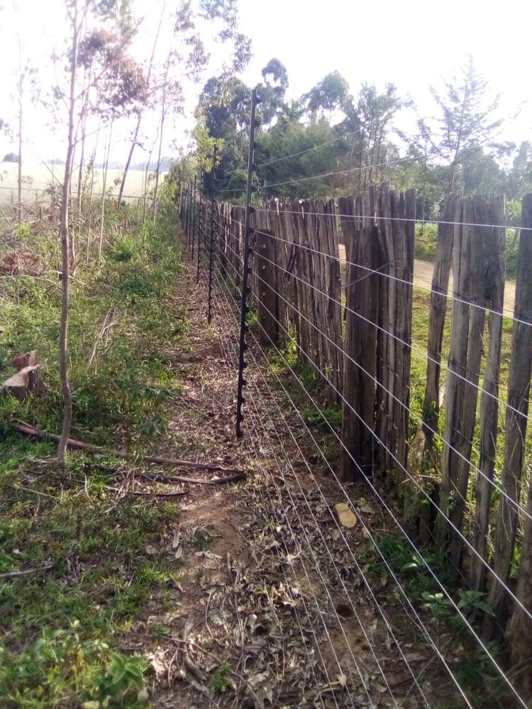 Freestanding electric fence with timber posts running along a farm boundary treeline near Nakuru
