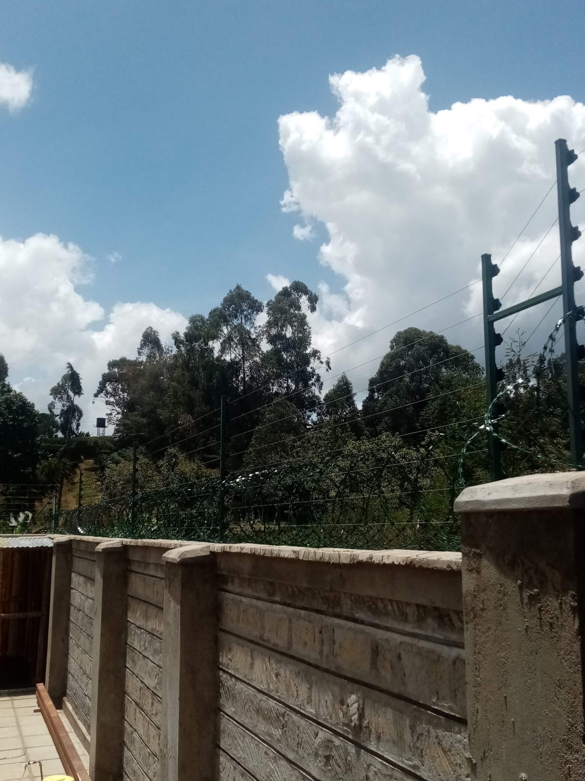 Electric fence posts and razor wire along a Kikuyu boundary wall, alternate angle showing tree-lined wall corner