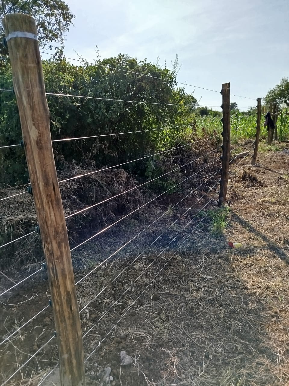 Close-up of a timber electric fence corner post near Voi, multiple wire strands and insulators visible