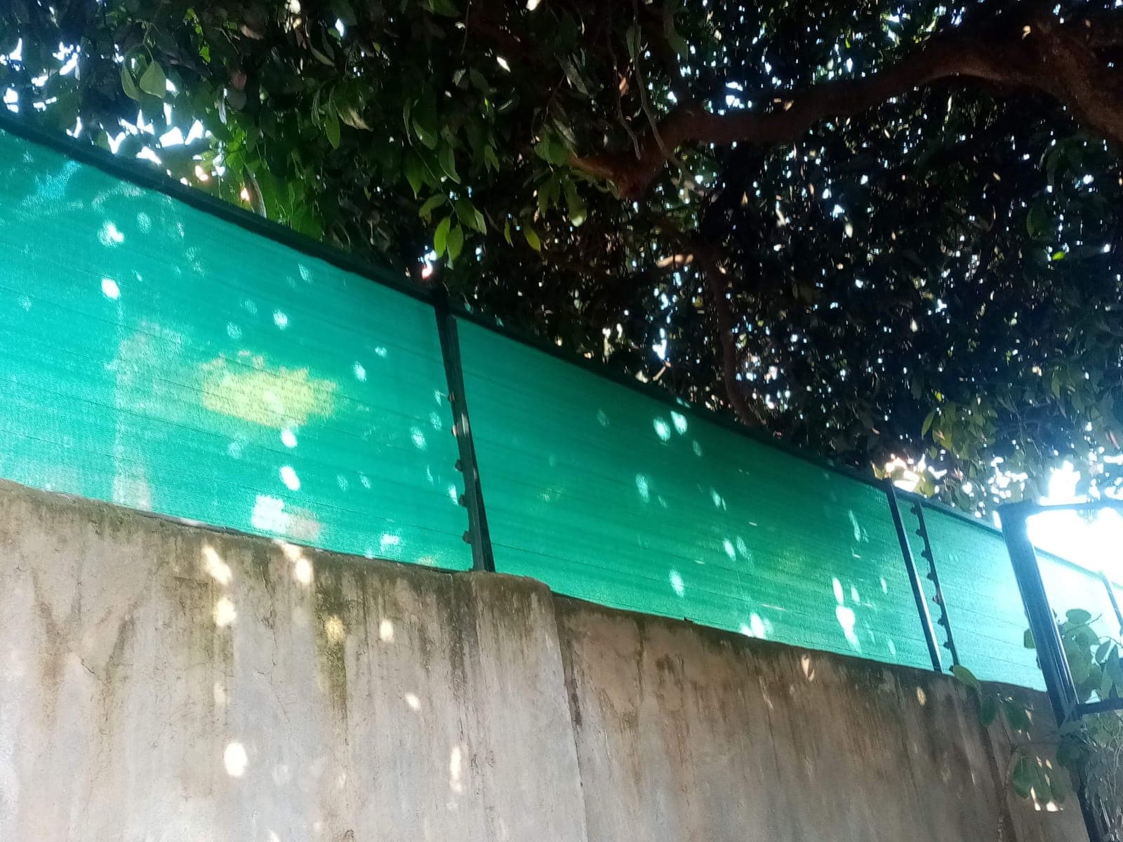 Green privacy shade net fitted along a boundary wall under mature tree canopy in Kiambu
